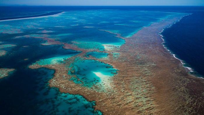 UNESCO Tidak Anggap Great Barrier Reef Terancam