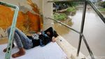 Ini Alasan Ibu Kota Harus Pindah