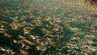 Peserta renang mulai melintasi Danau Zurich. REUTERS/Arnd Wiegmann.