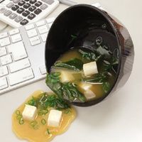Sup miso berbahan plastik.