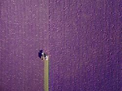 Keren, Ini Deretan Jawara Fotografi Drone Dunia