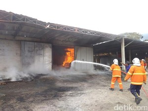 Gudang Pabrik Triplek di Trenggalek Terbakar