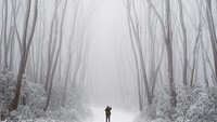 Saat memasuki bulan Juni - September, wilayah Victoria akan memperlihatkan sisi lainnya yag tak kalah eksotis yaitu Winter Wonderland. Penampakannya cantik seperti ini (Tourism Australia/Instagram)