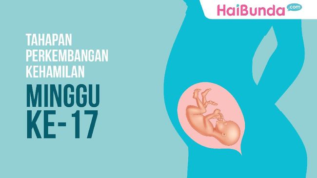 Tahapan Perkembangan Janin: Minggu ke-17