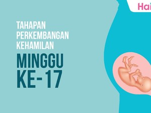 Tahapan Perkembangan Janin: Minggu ke-17