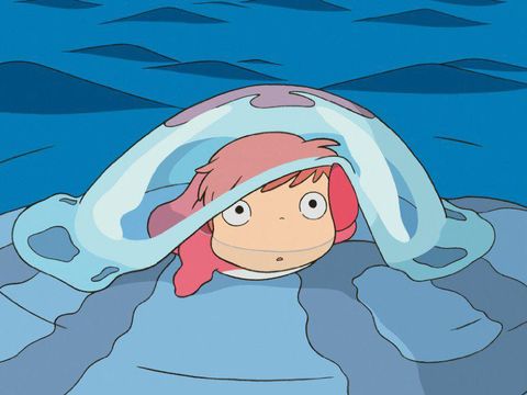 Ponyo on the Cliff By The Sea