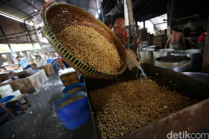 Begini Proses Pembuatan Tahu 