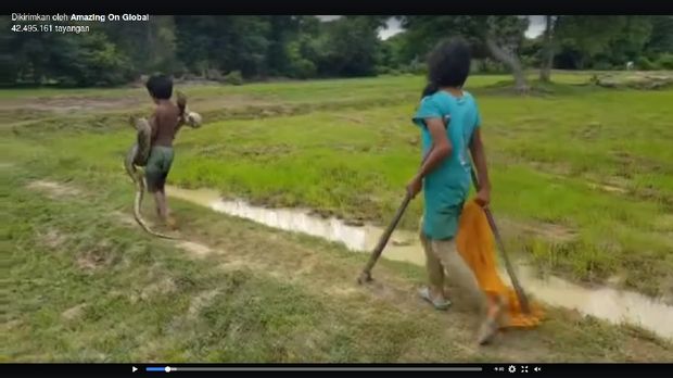 Ramai Video 2 Bocah Asia Pemburu Ular