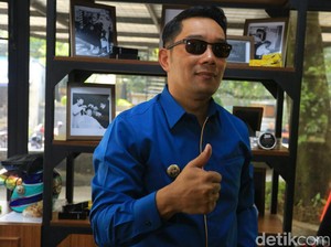 Pilgub Jabar, Ridwan Kamil Sebut Dirinya Kucing di Luar Karung