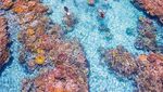 Foto: Aneka Destinasi Cantik Australia yang Tersembunyi