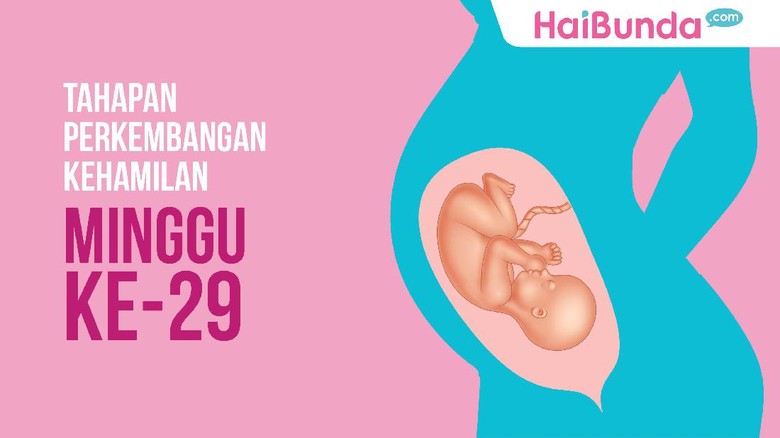 Tahapan kehamilan 29 minggu/ Foto: dok HaiBunda Tahapan kehamilan 29 minggu/ Foto: dok HaiBunda