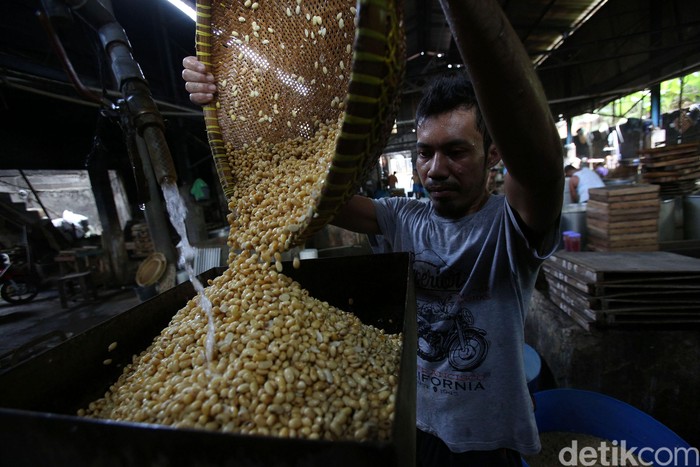 Begini Proses Pembuatan Tahu