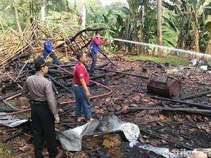 Kandang Terbakar, 4 Ribu Ayam Terpanggang di Batang