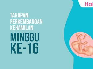 Tahapan Perkembangan Janin: Minggu ke-16