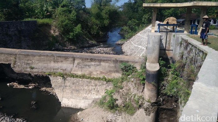 160 Ha Lahan Pertanian Bantul Terdampak Kerusakan Bendung Karang