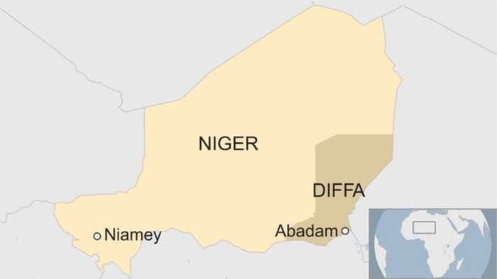 Tentara Niger Salah Tembak 14 Warga yang Diduga Militan Boko Haram