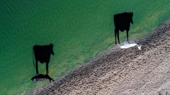 Kategori Creativity pemenang pertama diraih LukeMaximoBell. Foto: dronestagram