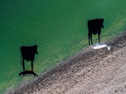 Keren, Ini Deretan Jawara Fotografi Drone Dunia