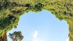 Foto: Aneka Destinasi Cantik Australia yang Tersembunyi