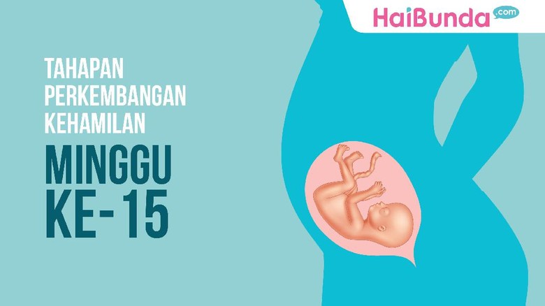 Tahapan Perkembangan Janin: Minggu ke-15