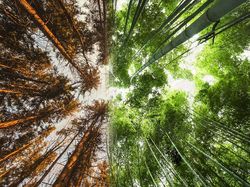 Memadukan Dua Belahan Bumi Berbeda