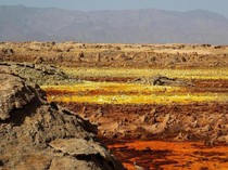 6 Wilayah di Bumi yang Tak Layak Huni, Ada Pulau Ular