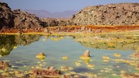 Karena cuaca yang ekstrem, kandungan garam, sulfur, mineral dan belerang yang kuat, serta terletak di lempeng tektonik membuat gurun ini menjadi berwarna-warni. Cantik!(Vivien Cumming/BBC Travel)