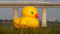 Sebuah kereta cepat China tengah melintas di atas balon bebek raksasa di Beijing. Feng Li/Getty Images.
