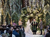 Pernikahan Sean Parker-Alexandra Lenas pada 2013
