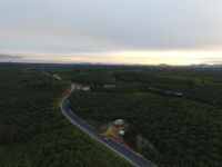 Jalan Akses menuju PLBN Entikong