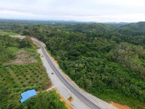 Melihat Cantiknya Jalan Menuju Entikong