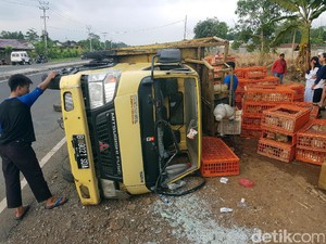 Truk Terguling di Sukabumi, Ratusan Ayam Mati