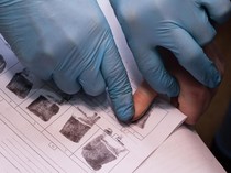 10 Fakta Unik yang Jarang Diketahui, Termasuk Ayam Bisa Hidup Tanpa Kepala