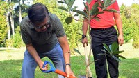 Tak mau kalah dari cucunya, Jusuf Kalla pun ikut menanam beberapa pohon.