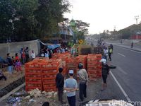 Truk Terguling Di Sukabumi Ratusan Ayam Mati