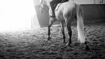 Untuk menunjang anaknya berkuda, Laurenne Powell, sang ibu, membelikan rumah dengan lahan berkuda luas pada pertengahan tahun lalu. Foto: instagram