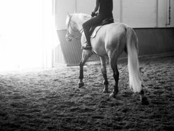 Putri Steve Jobs Makin Cantik & Hobi Pacaran