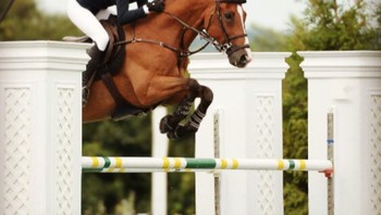 Dari foto-fotonya, tampaknya dia sudah cukup ahli mengendalikan kuda. Foto: instagram