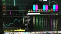 Hal ini terjadi karena ada masalah pada sistem pendistribusian data alias datafeed dari Bursa Efek Indonesia (BEI).