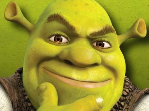 Punya Alis Menyatu, Model Ini Diolok-olok Mirip 'Shrek'