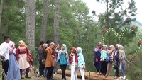 Ya, salah satu contohnya Bur Telege atau Bur Gayo. Destinasi wisata alam ini baru muncul di tanah Gayo. Letaknya di Desa Hakim Bale Bujang, Kecamatan Laut Tawar, Aceh Tengah (Datuk/detikTravel)