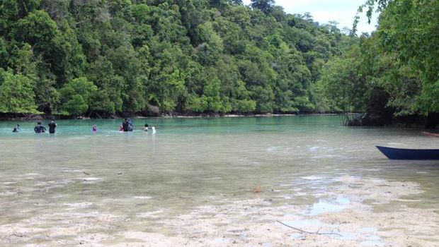Kehe Daing di Pulau Kakaban
