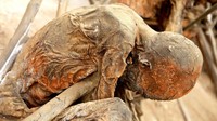 Kabarnya, beberapa suku yang tempat tinggalnya terpencil di dalam hutan hingga kini masih melakukan hal tersebut. Cukup sulit untuk melihat dari dekat mumi Papua Nugini ini. Butuh kocek besar dan perjalanan panjang (Lloyd Neubauer/BBC Travel)