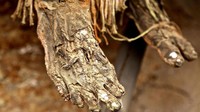 Proses membuat jenazah menjadi mumi terbilang rumit. Lutut, siku dan kaki pertama-tama disayat dan lemak di dalam tubuh dikeringkan. Bambu ditancapkan ke perut jenazah, agar darahnya keluar (Lloyd Neubauer/BBC Travel)