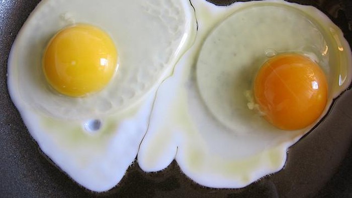 Kuning Telor Vs Putih Telor, Mana yang Lebih Sehat? Kuning Telor Vs Putih Telor, Mana yang Lebih Sehat?