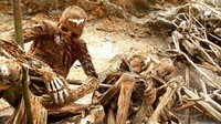 Bukan dibungkus kain dan dimasukan ke dalam peti, mumi di Papua Nugini posisinya duduk di atas tanah. Bentuknya masih utuh dan ada kulitnya, tapi sebagian tengkoraknya terlihat jelas berwarna putih (Lloyd Neubauer/BBC Travel)
