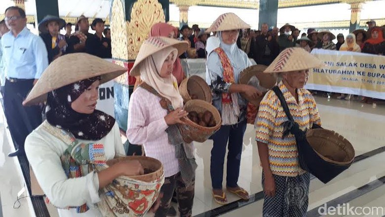 Harga Salak Pondoh Anjlok, Petani Mengadu ke Kantor Bupati ...