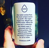 Ini Asarasi, Air Mineral Kemasan Pertama yang Berlabel Organik