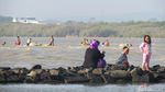 Foto: Pantai Kejawanan yang Lagi Naik Daun di Cirebon