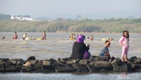 Hutan bakau memanjang sepanjang garis pantai. Wisatawan tampak menikmati suasana. Tiket masuk pelabuhan harganya Rp 1.000 dan tiket parkir di pantai Rp 10.000 (Fitraya/detikTravel)